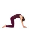 Yoga Vidya Übungsreihen bei körperlichen Beschwerden