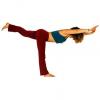 Yoga Vidya Fortgeschrittenenkurs - 11. Stunde