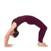  Yoga Vidya Übungsreihe für Fortgeschrittene - Variationen für Flexibilität Teil 1